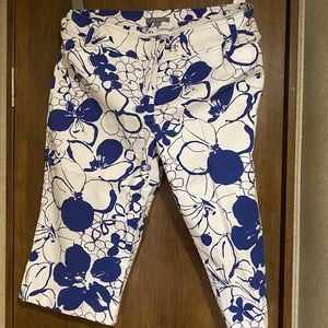 Ann Taylor Bermuda Shorts